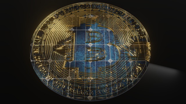 Brown and Blue Bitcoin